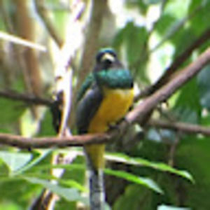 Meet your Posher, Bailey